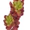 Assorted Succulent Pick with 3 Heads By Ashland&#xAE;